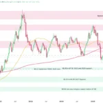 marketpulse2025123012