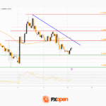 fxopen2026011421