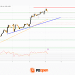 fxopen2026011422