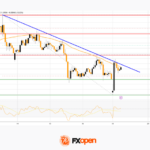 fxopen2026011921