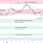 marketpulse2026020323