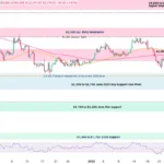 marketpulse2026020324