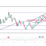 marketpulse2026020413