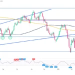 marketpulse2026022511