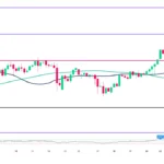 marketpulse2026022612