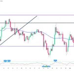 marketpulse2026030422