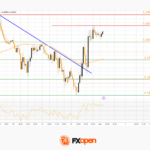 fxopen2026050111