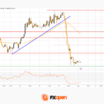 fxopen2026050112