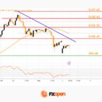 fxopen2026050412