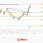 fxopen2026050612