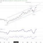 nikkei20260509w1
