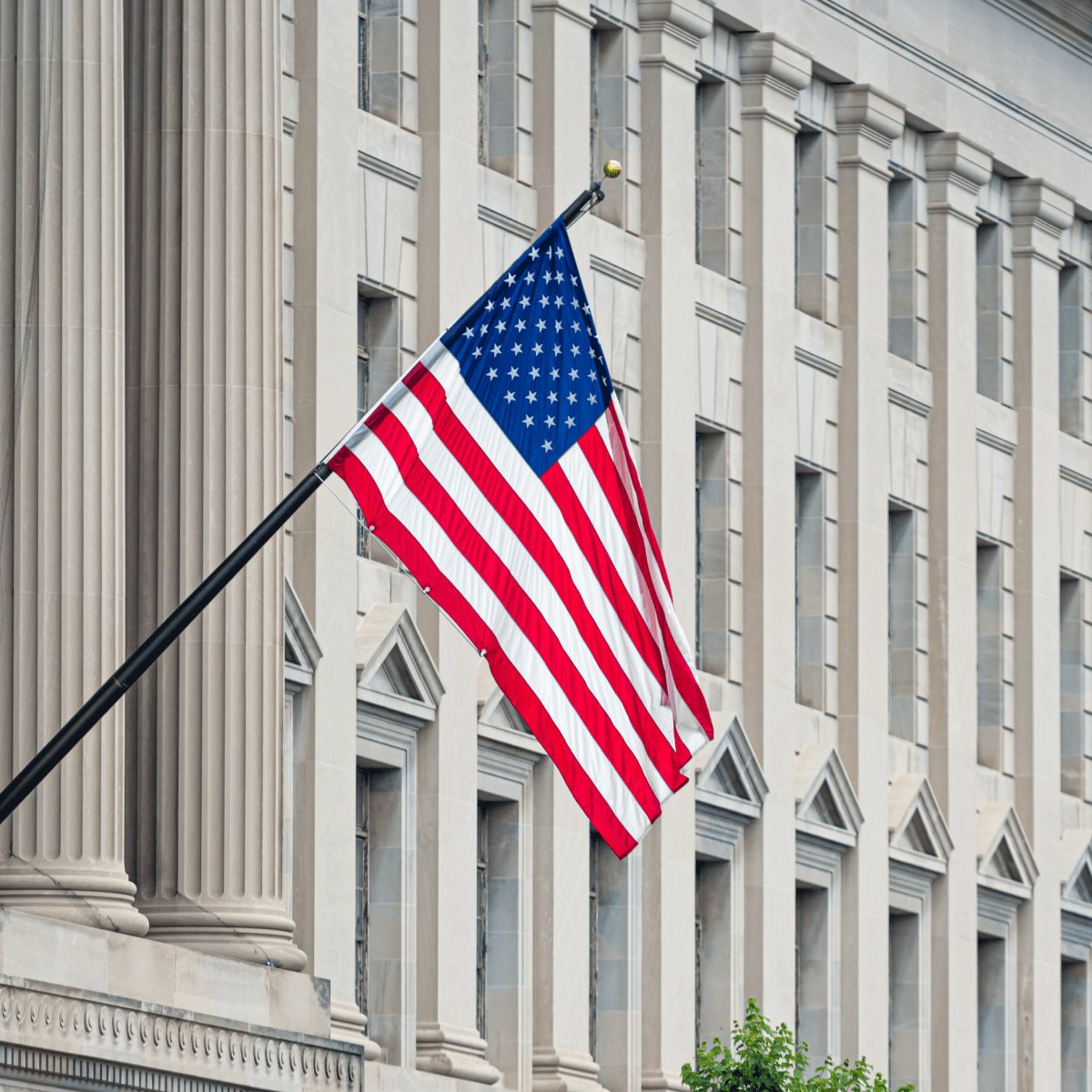 US Flag Price image