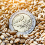 Euro coins and cereal grains of wheat.Export and import of grain between countries.Wheat price, grain reserves around the world. Food crisis.