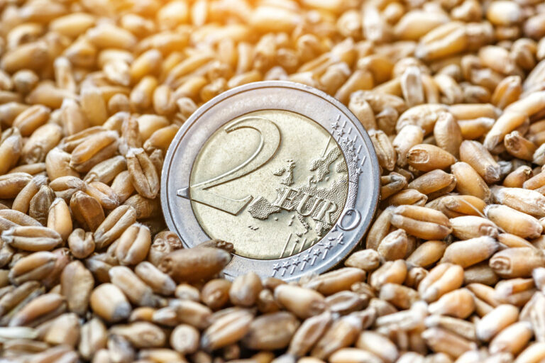 EUR/USD Rebound Reflects ECB Repricing as Oil Revives September Hike Bets