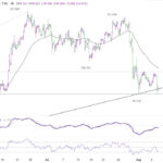 dxy20260808w1