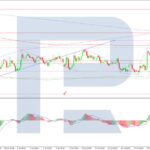 roboforex2026080311