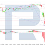 roboforex2026080511